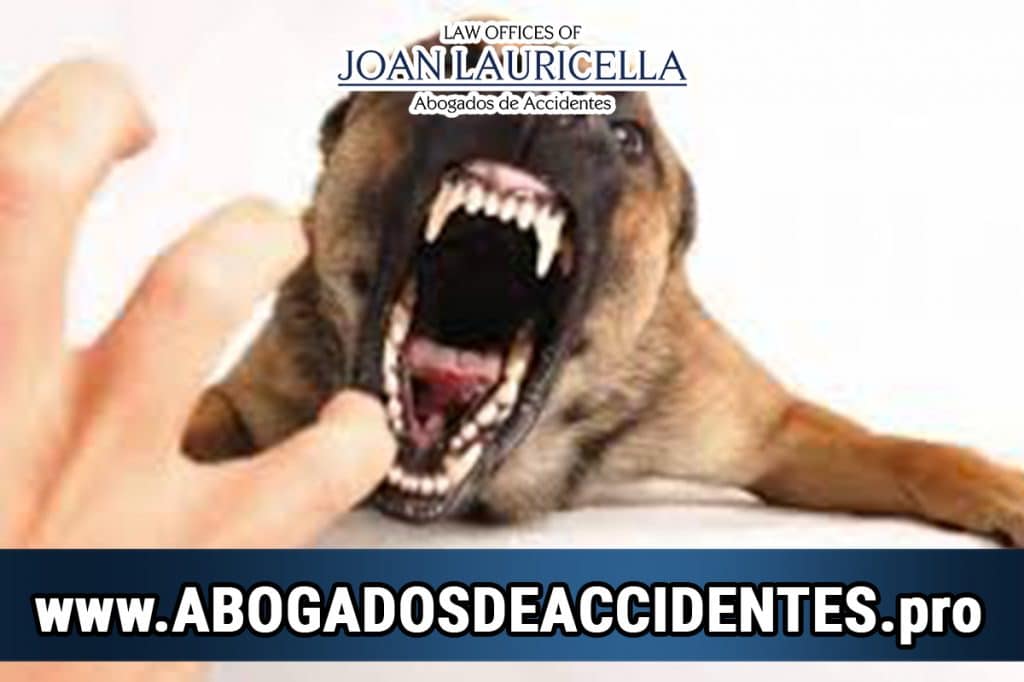 Abogado Para ataques de perro en Los Angeles, CA