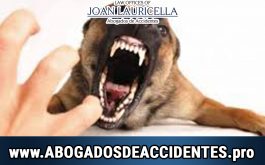 Abogdo de Ataques de Perros en Los Angeles, CA