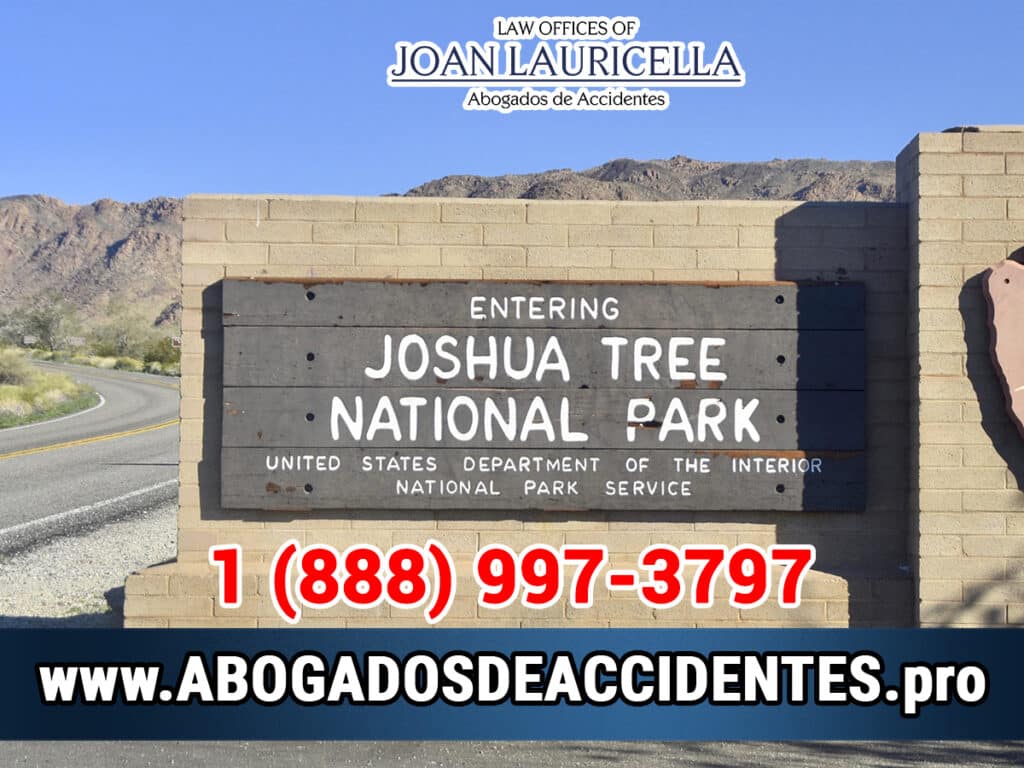 Abogado de Accidentes en Joshua Tree CA